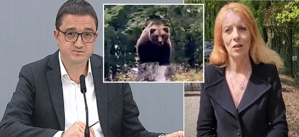 Morte orso M62, Brambilla: “Se si trattasse di un atto di bracconaggio Fugatti sarebbe moralmente responsabile”